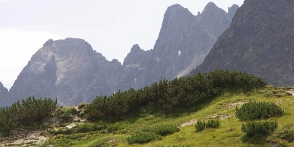 Słowacja > Słowackie Tatry