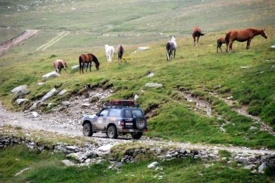 Rajd „Bezdroża Trophy” za nami