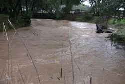 W świętokrzyskim zamknięte drogi i mosty 