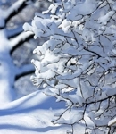 Śniegowe opowieści - konkurs dla dzieci!