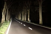 Bezpieczna jazda nocą
