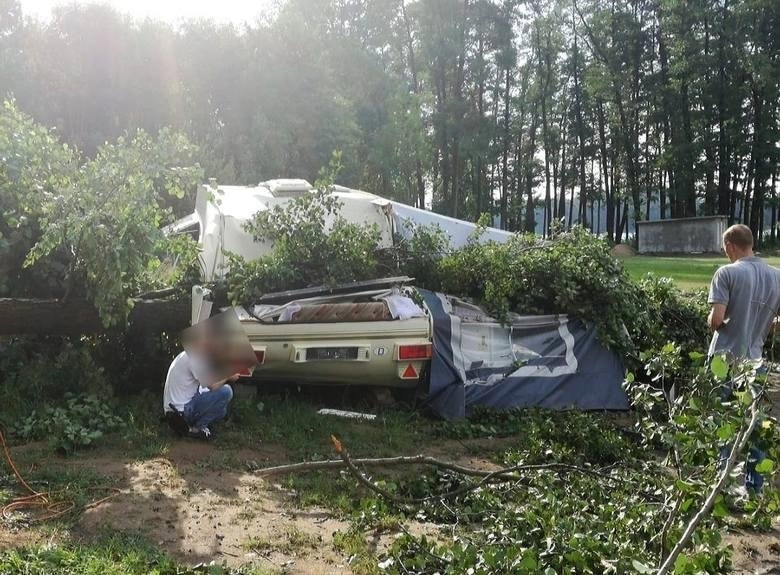 Drzewo spadło na przyczepę, 12-letnie dziecko w szpitalu