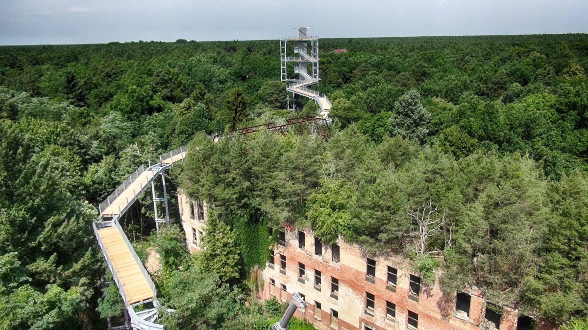 Beelitz-Heilstätten ścieżka w koronie drzew