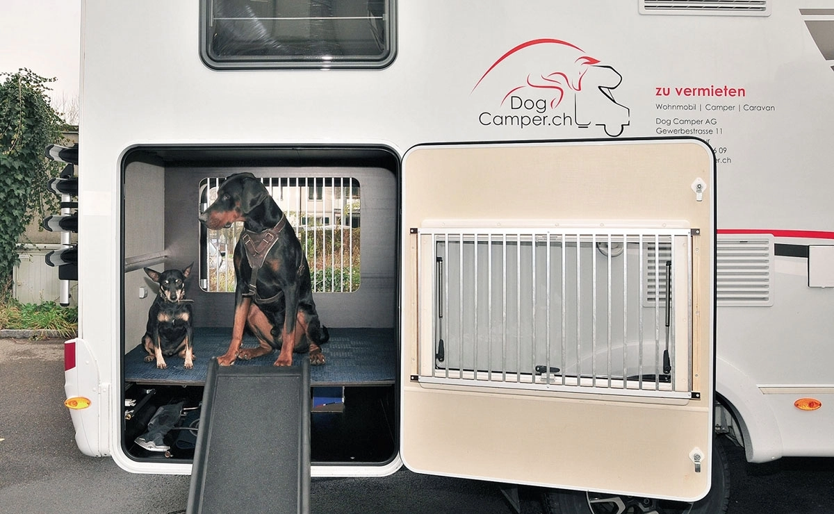 Legowiska dla psów w Dog Camper znajdują się także w tylnej części kampera, pod łóżkiem ich właścicieli (po lewej) i w luku bagażowym, który wyposażono dla komfortu zwierząt w rampę do wchodzenia i wychodzenia z pojazdu