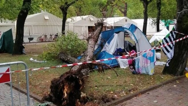 Drzewo spadło na namiot. Dwójka dzieci nie żyje