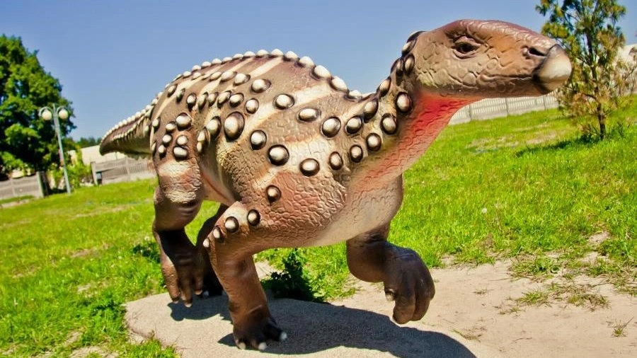 Park Dinozaurów to miejsce aktywnego wypoczynku dla całej rodziny.