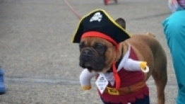 550 załóg na zlocie w Mińsku na Białorusi - zdjęcie 22