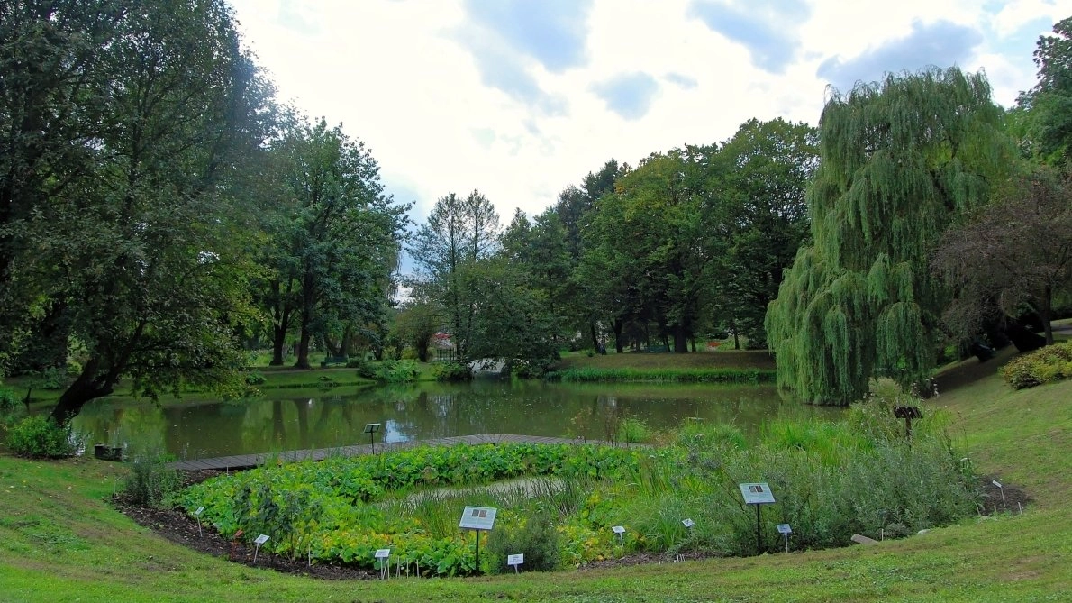 Ogród botaniczny w Lublinie
