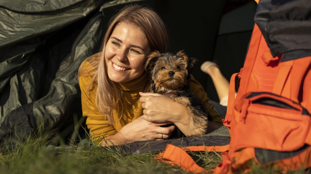 Wakacje z psem - zasady, porady, przepisy