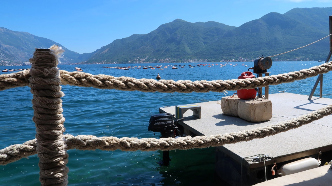 Buskampera raport z Bałkanów