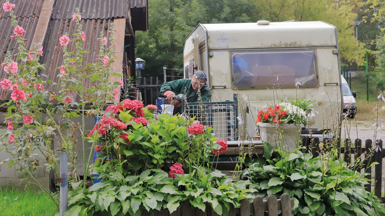 Kupujemy używaną przyczepę kempingową. Część 2