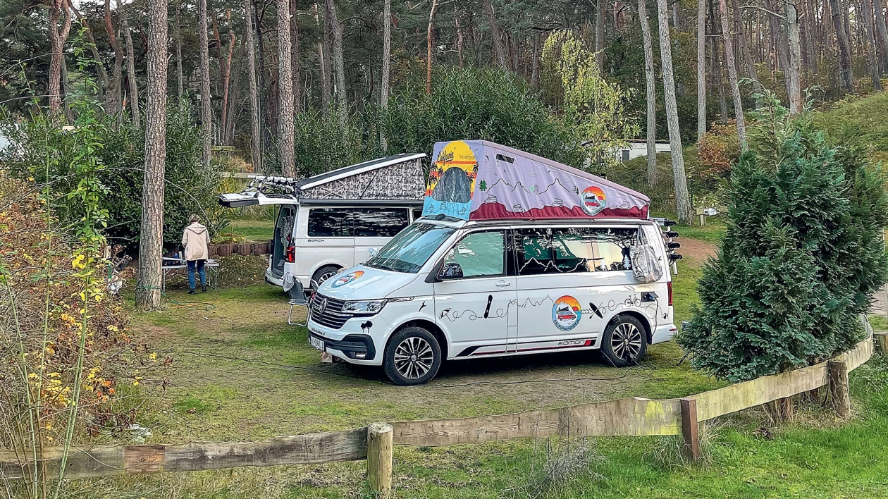 Czy warto kupować futro latem? Przegląd pokrowców przydatnych w caravaningu