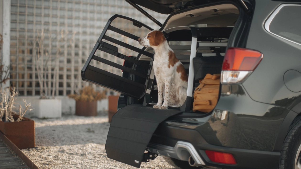 Thule debiutuje w nowej kategorii - transportowa klatka dla psów