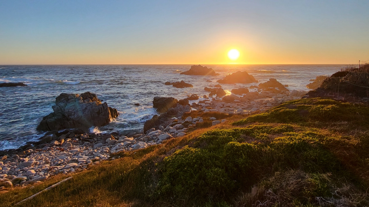 Monterey Bay w 3 dni. Co warto zwiedzić i jak spędzić czas?