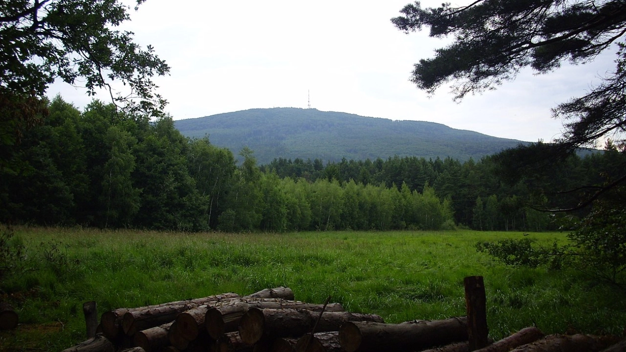 Góra Ślęża — widok z Łąki Sulistrowickiej