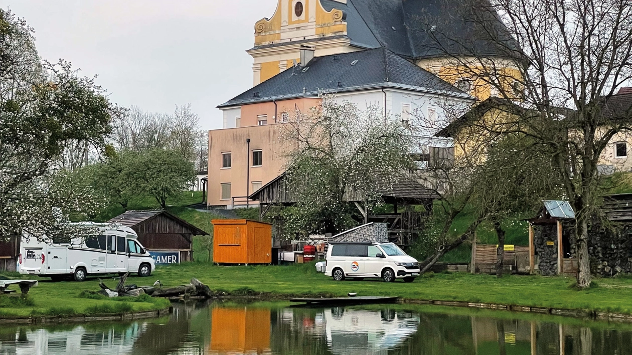 Między „dzikuskiem” a parcelą