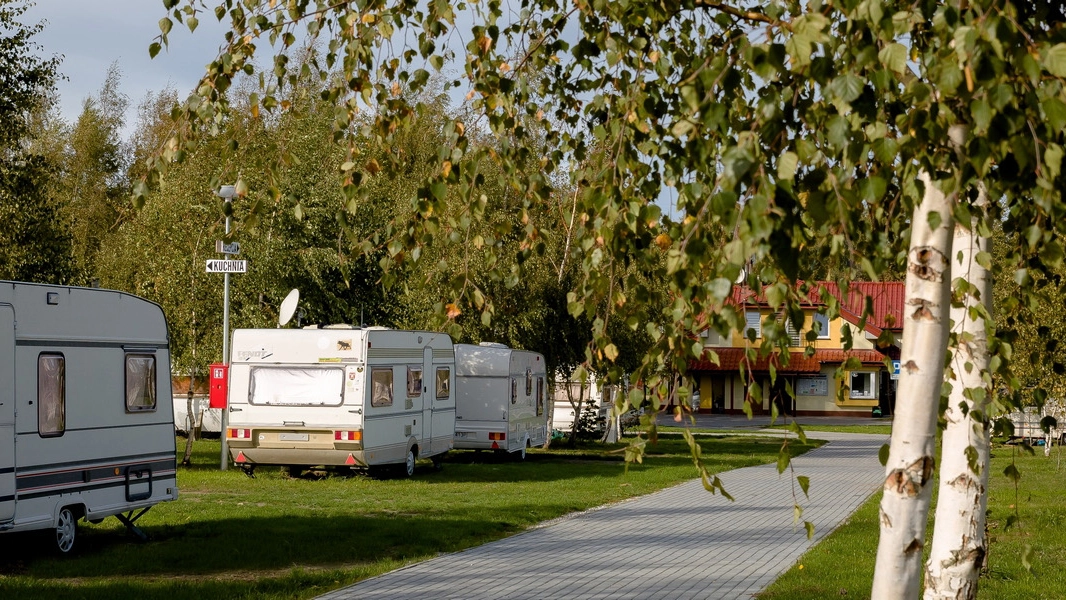 Kemping "Pod Brzozami" wyróżniony przez camping.info Award 2025