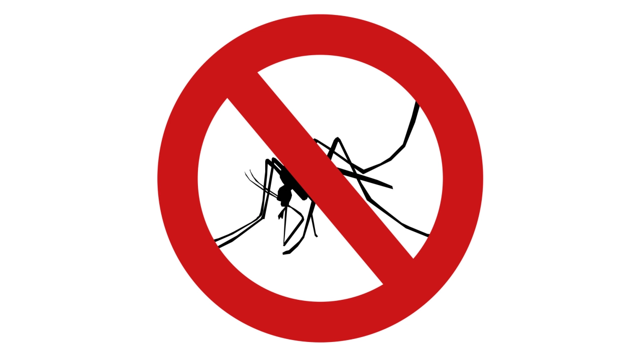 Witaj wiosno, żegnajcie insekty!
