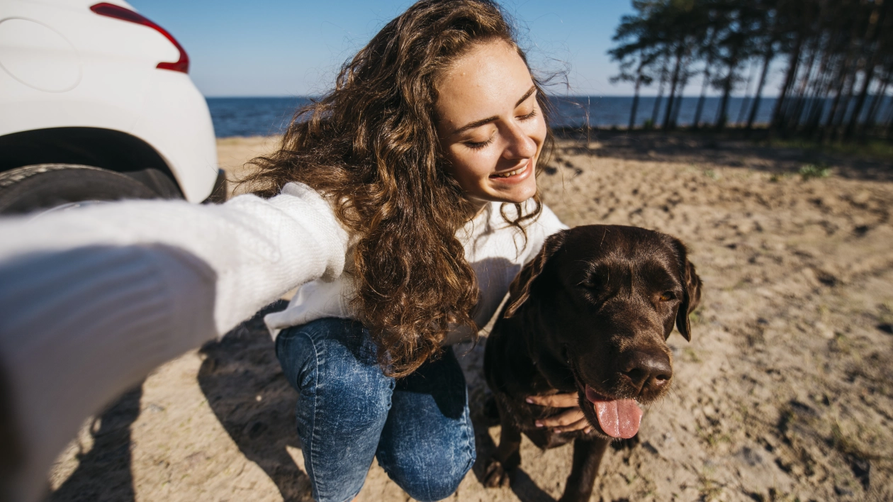 Z psem nie wolno! Czy kemping może zabronić zwierząt?