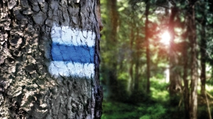 Jak będą działać polskie szlaki kamperowe?