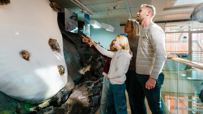 Zimowa kultura w Trydencie: wspomnienia, które zostaną na całe życie