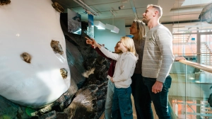 Zimowa kultura w Trydencie: wspomnienia, które zostaną na całe życie