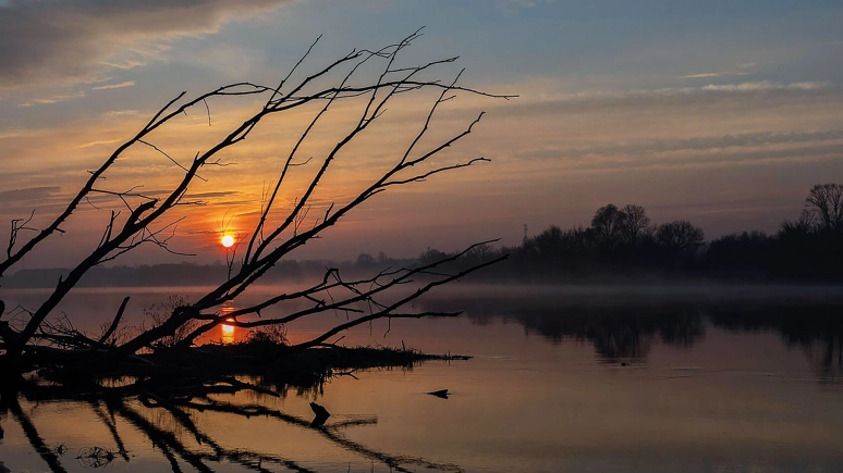Nadnarwiańskie zaczarowanie