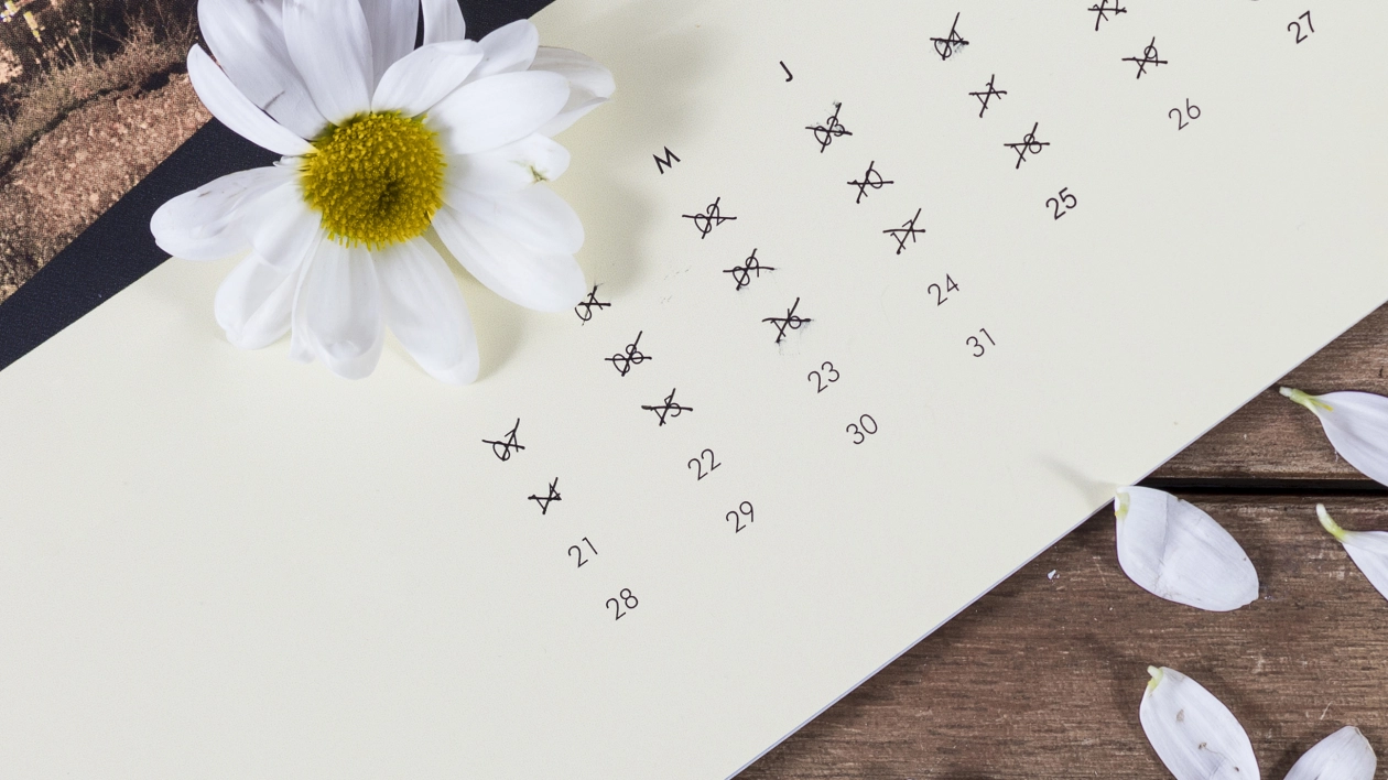 Więcej wolnego! Kiedy brać urlop w 2026 roku?