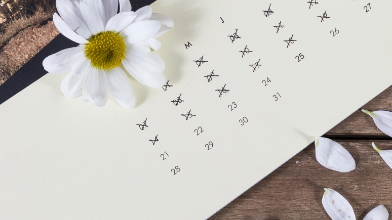 Więcej wolnego! Kiedy brać urlop w 2026 roku?