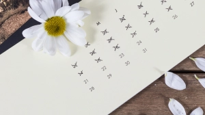 Więcej wolnego! Kiedy brać urlop w 2026 roku?