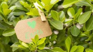 Greenwashing w turystyce. Zielone mydlenie oczu