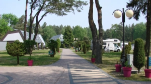 Camping Morski Łeba. Wakacje nad Bałtykiem 