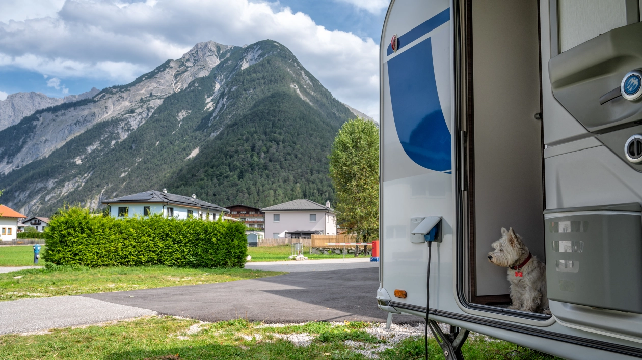 Caravaning z psem – poradnik dla początkujących