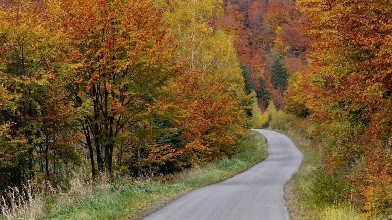 Dokąd jechać jesienią? Plusy jesiennego caravaningu