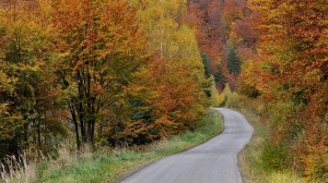Dokąd jechać jesienią? Plusy jesiennego caravaningu