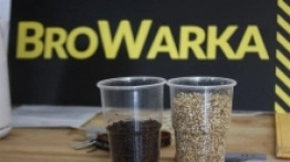 CamperMajstry - zlot inny niż wszystkie - zdjęcie 60