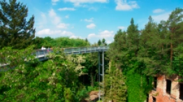 Beelitz-Heilstätten ścieżka w koronie drzew - zdjęcie 1