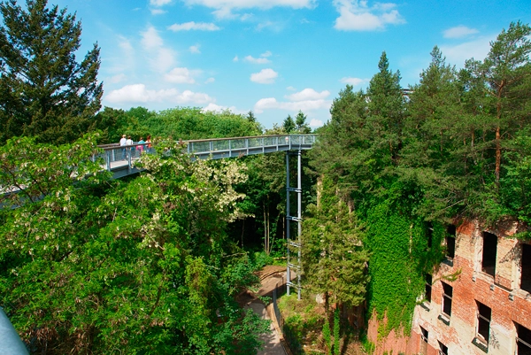 Beelitz-Heilstätten ścieżka w koronie drzew