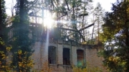 Beelitz-Heilstätten ścieżka w koronie drzew - zdjęcie 3