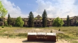 Beelitz-Heilstätten ścieżka w koronie drzew - zdjęcie 8