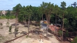 Beelitz-Heilstätten ścieżka w koronie drzew - zdjęcie 9