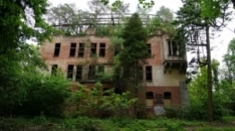 Beelitz-Heilstätten ścieżka w koronie drzew - zdjęcie 10