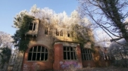 Beelitz-Heilstätten ścieżka w koronie drzew - zdjęcie 12