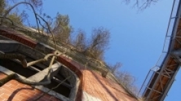 Beelitz-Heilstätten ścieżka w koronie drzew - zdjęcie 14