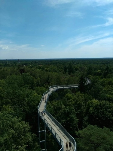 Beelitz-Heilstätten ścieżka w koronie drzew - zdjęcie 15