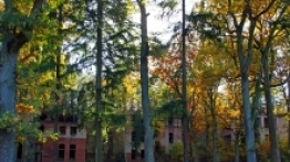 Beelitz-Heilstätten ścieżka w koronie drzew - zdjęcie 18