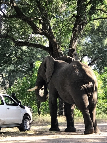 Botswana - Caravaning w gorącej Afryce