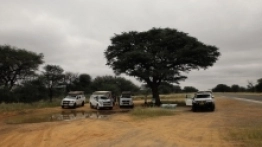 Tabliczki „biwakujesz na własną odpowiedzialność” stanowią regułę ostrzeżeń przed dziką zwierzyną w miejscach sprzyjających postojom - zdjęcie 9