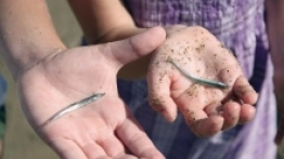 A oto ich zdobycze. - zdjęcie 5