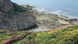 Szmaragdowe Wybrzeże to bajeczne widoki! - zdjęcie 10